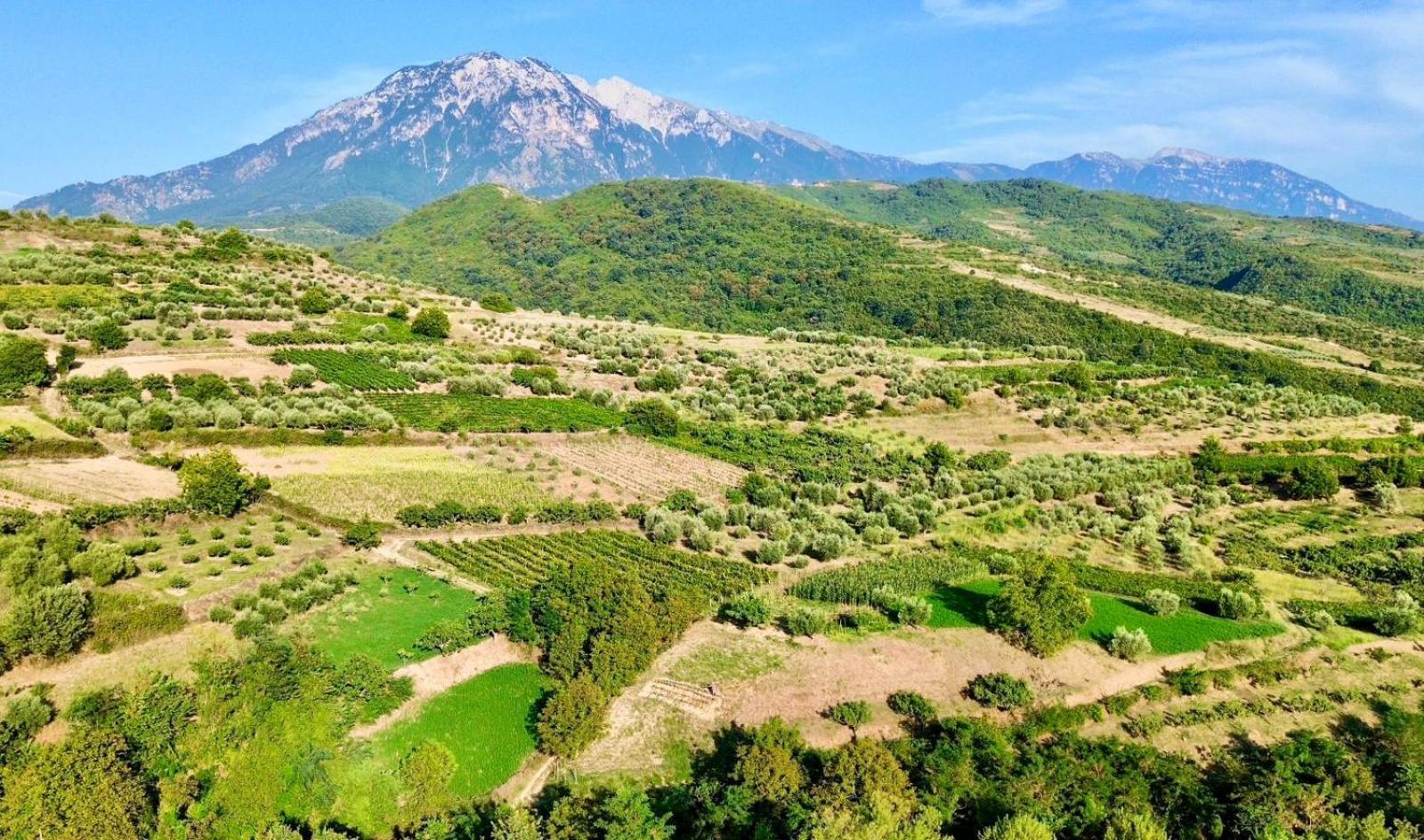 Hotel Alpeta Agrotourism & Winery - Roshnik , Berat Exterior foto